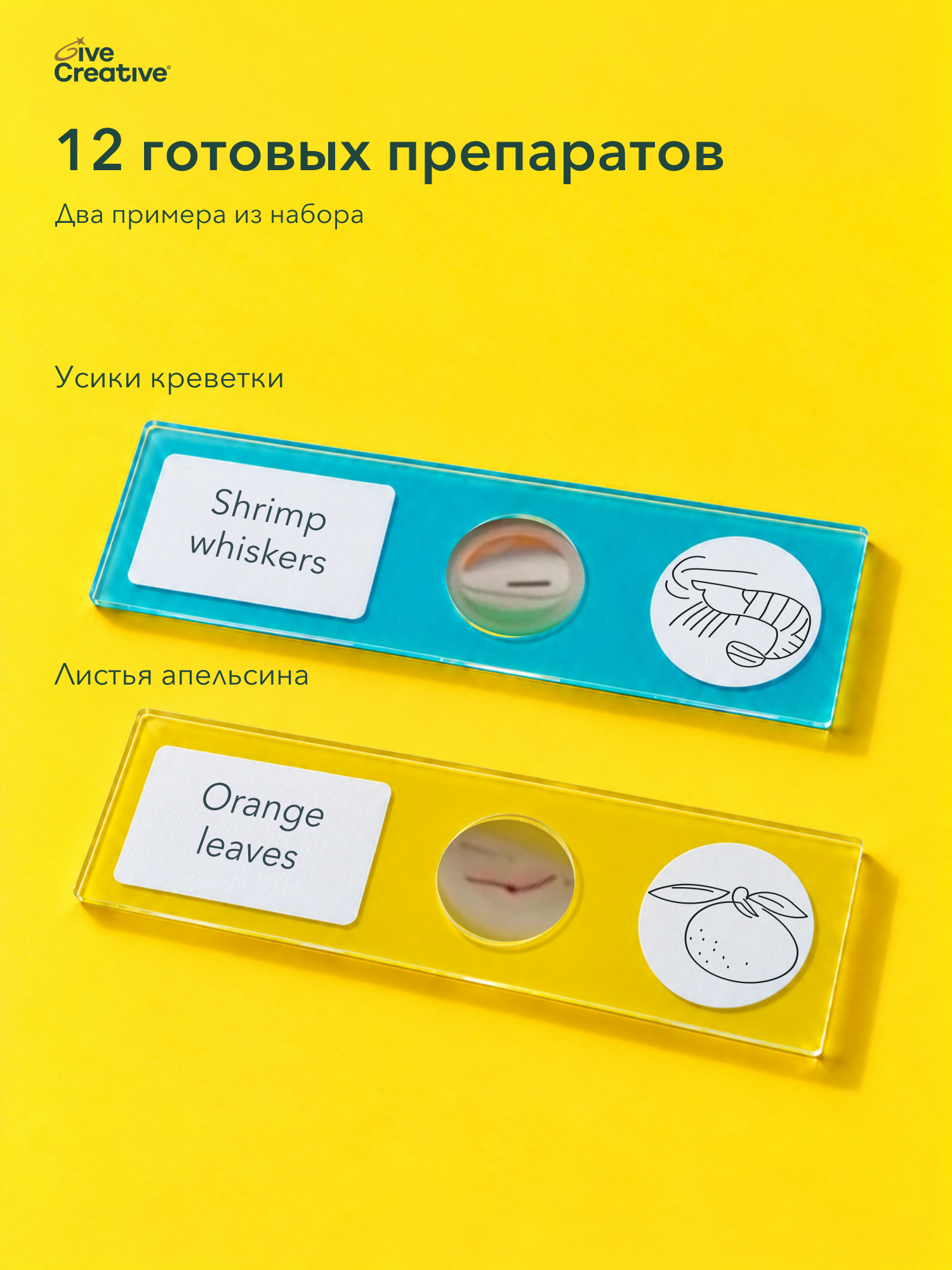 Микроскоп Give Creative детский школьный, 3 режима - фото 2