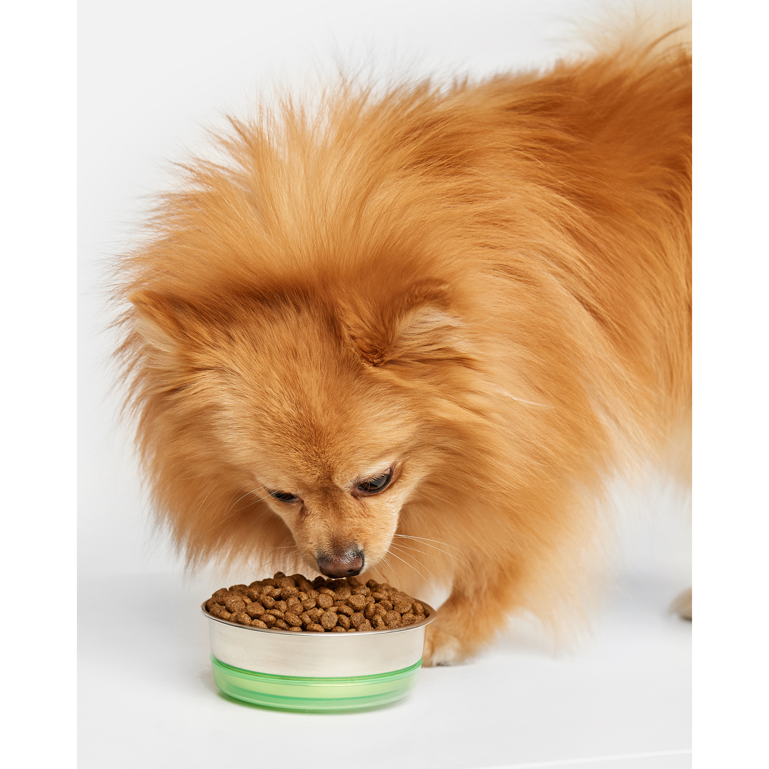 Корм для щенков Carnica 3кг ягненок-рис для средних и крупных пород сухой - фото 10