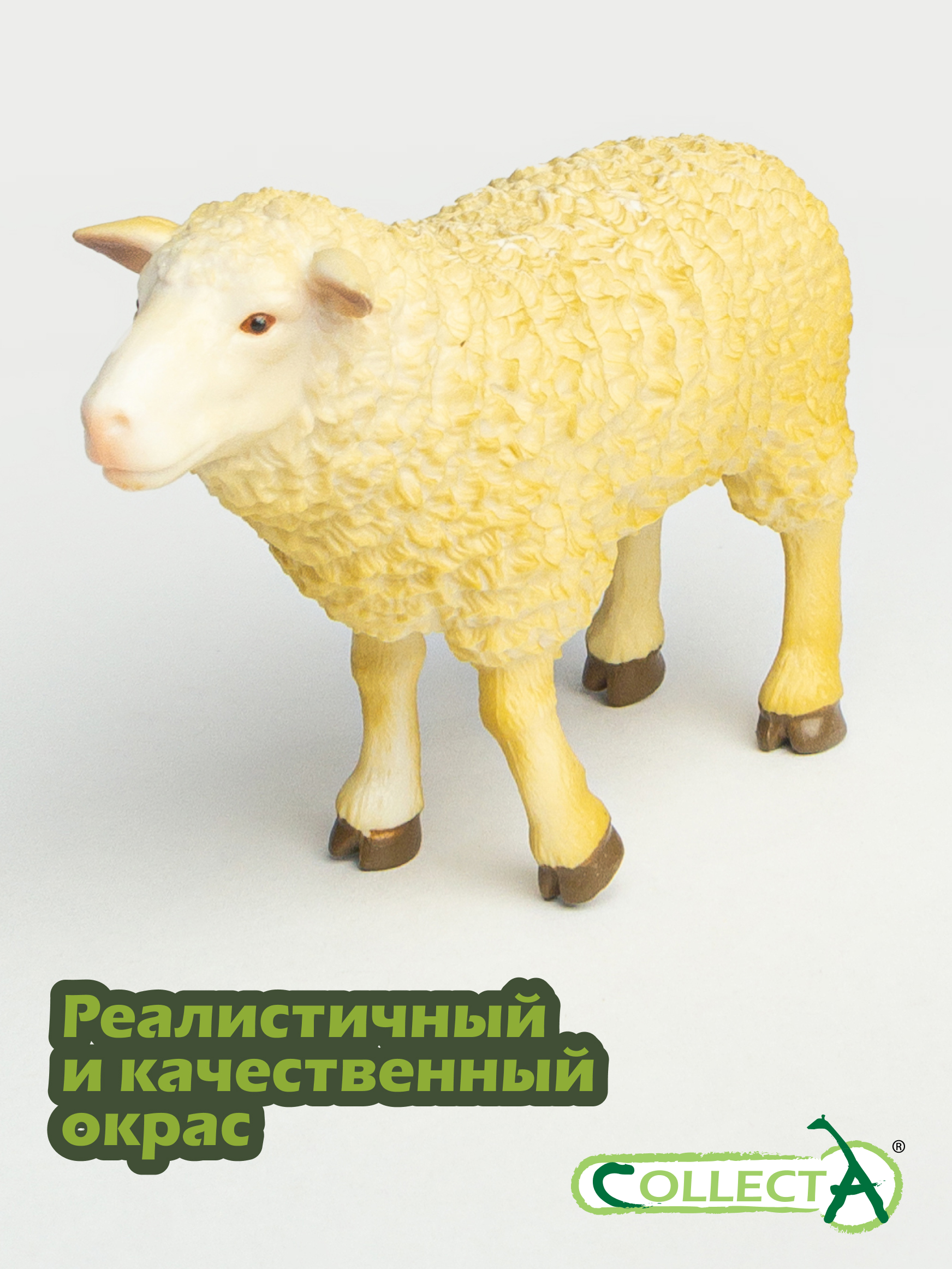 Фигурка Collecta Овца 5.5 см - фото 4