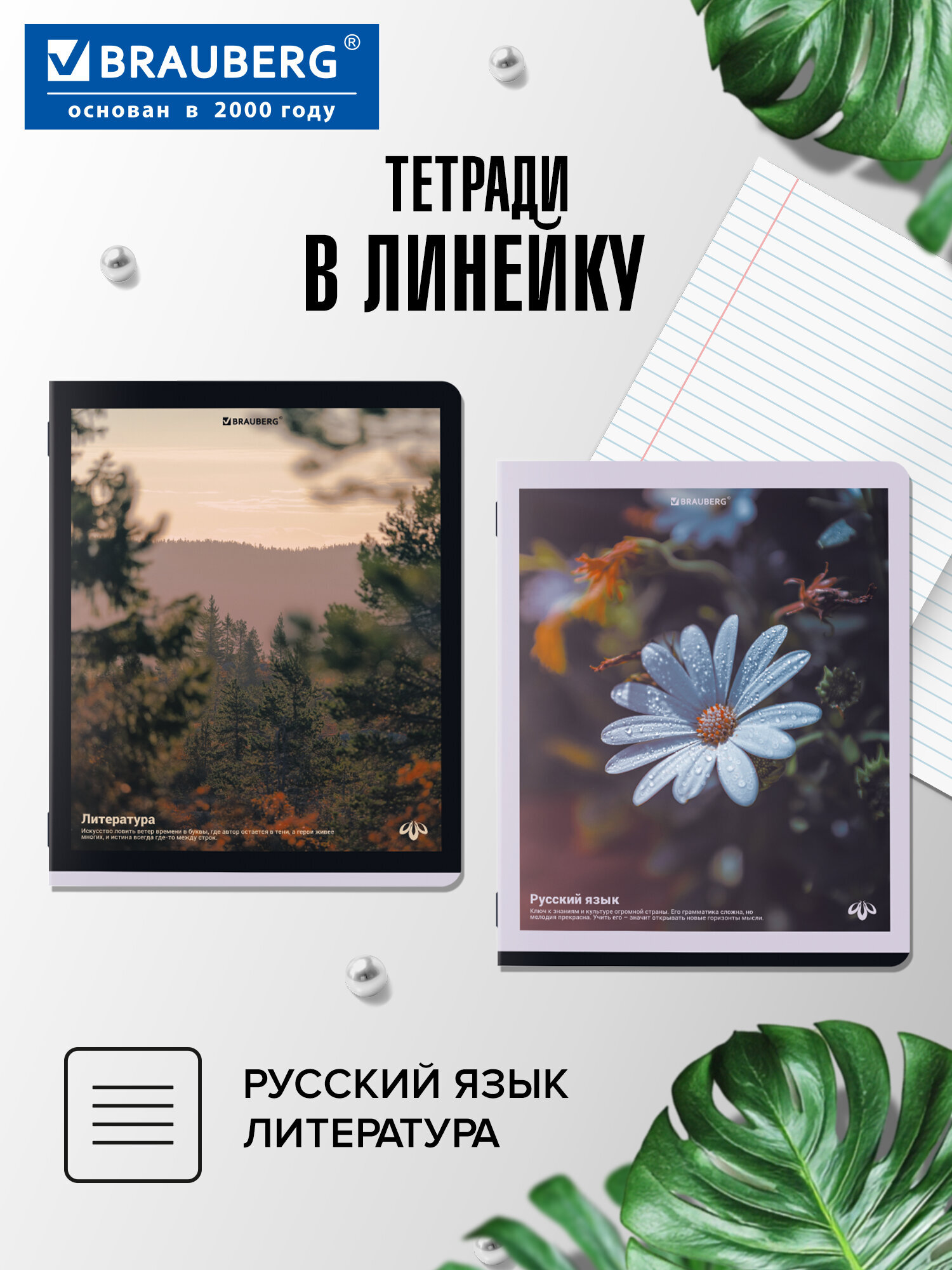 Тетрадь Brauberg 48 лист. 12 шт. - фото 3