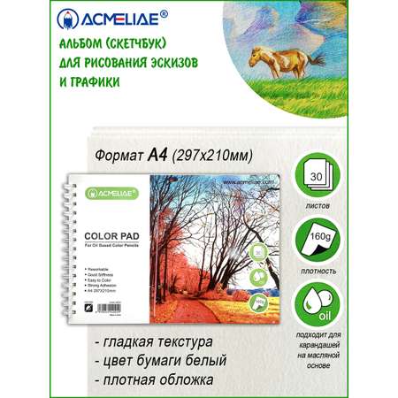Альбом ACMELIAE А4 30 лист.