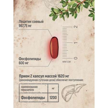БАД MedCraft Лецитин соевый в капсулах Lecithin эссенциальные фосфолипиды