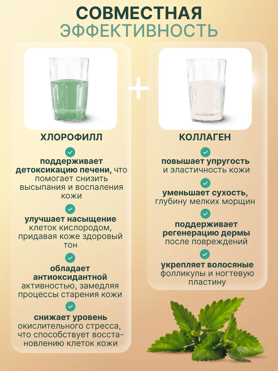 Набор MedCraft Хлорофилл жидкий пищевой + Коллаген - фото 2