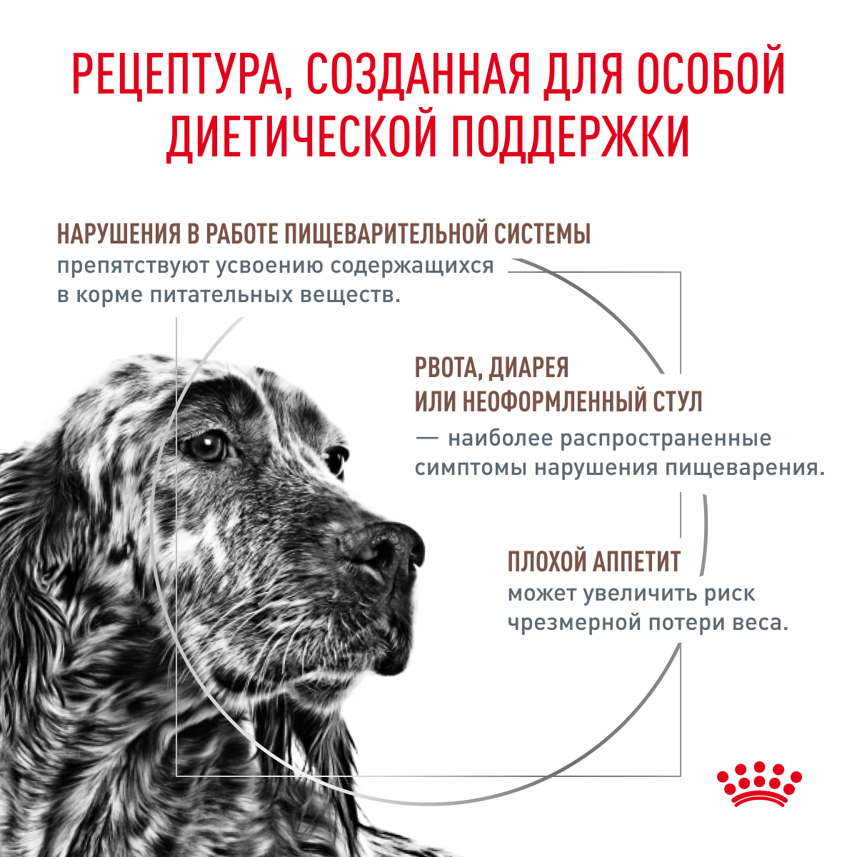 Корм для собак ROYAL CANIN Gastrointestinal полнорационный диетический для взрослых собак при расстройствах - фото 2