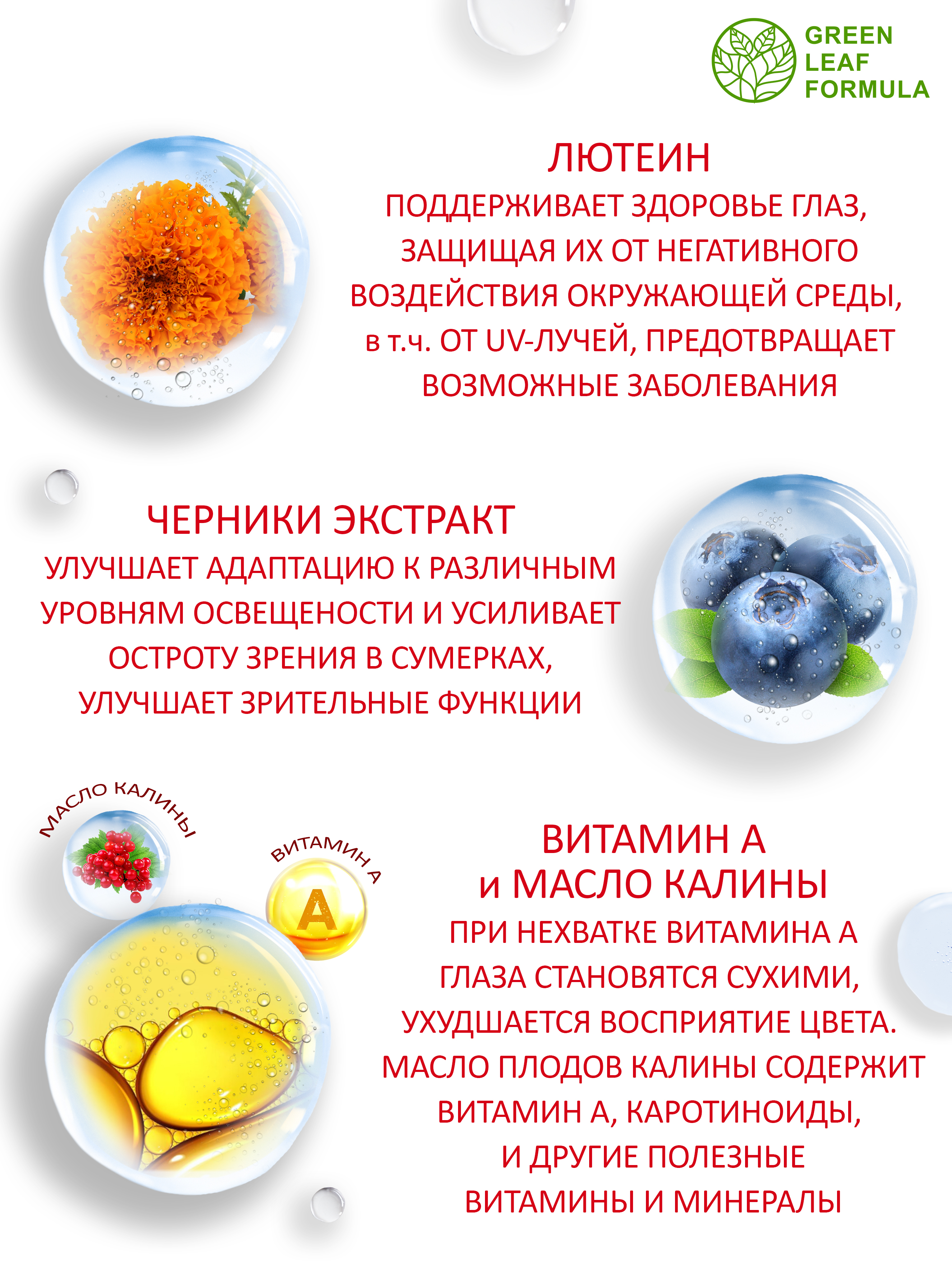 Лютеин комплекс для глаз Green Leaf Formula черника с витамином А для зрения - фото 4