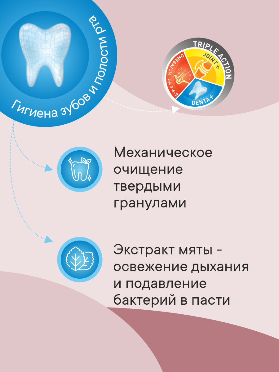 Корм сухой 1st Choice Здоровая кожа и шерсть для пожилых собак средних и крупных на ягненке 2.72кг - фото 4