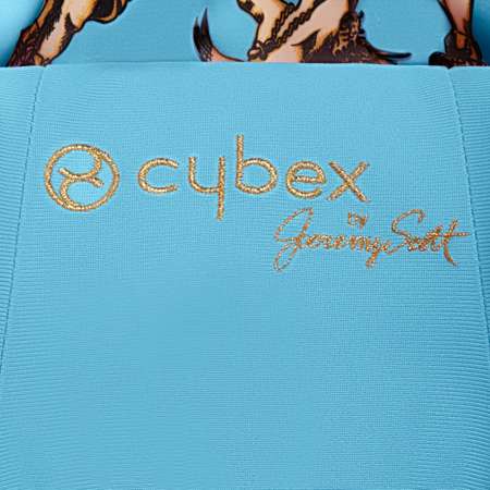 Автокресло Cybex 0 (0 -13 кг)
