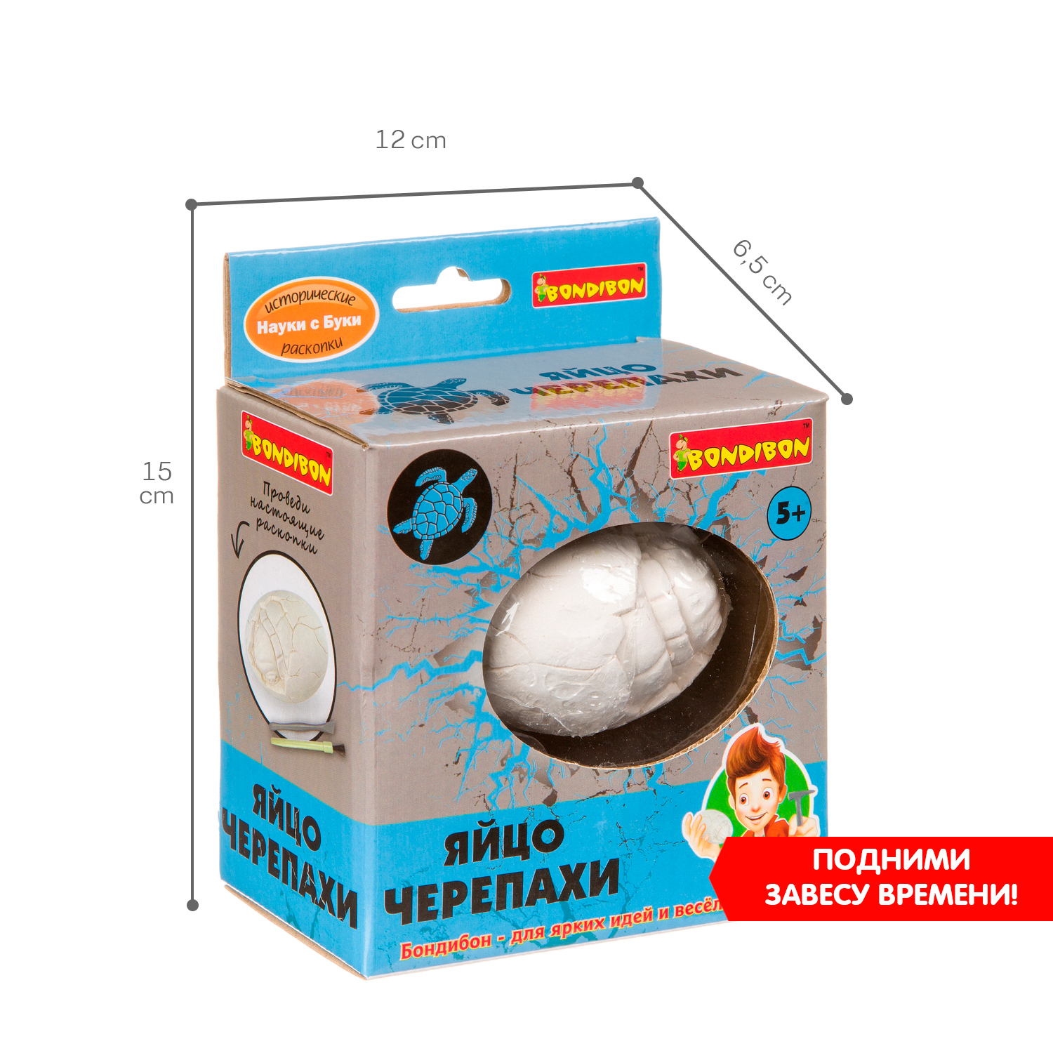 Набор для раскопок Bondibon палеонтология: Яйцо черепахи - фото 8