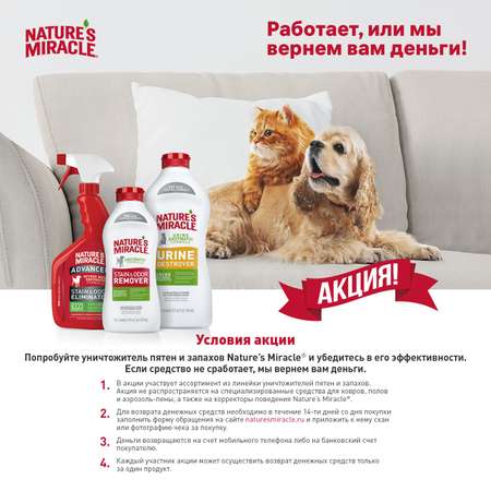 Уничтожитель пятен и запахов Natures Miracle JFC для кошек S and O Remover универсальный 473мл