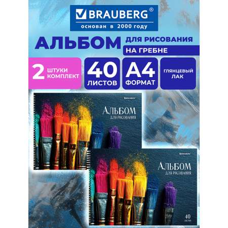 Альбом Brauberg кисти А4 40 лист. 2 шт.