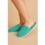 Тапочки IVShoes
