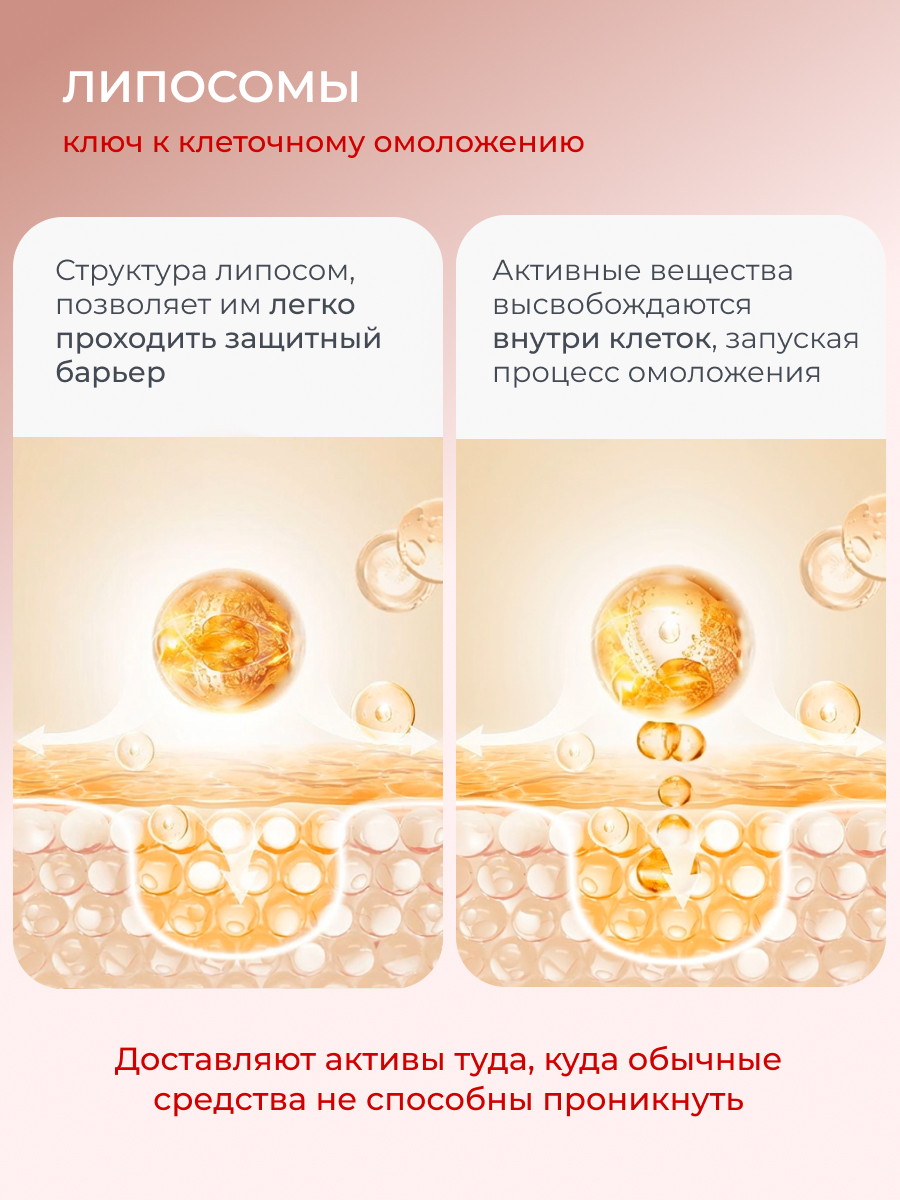 Сыворотка АКАВИЯ Peptide Моделирование - фото 8