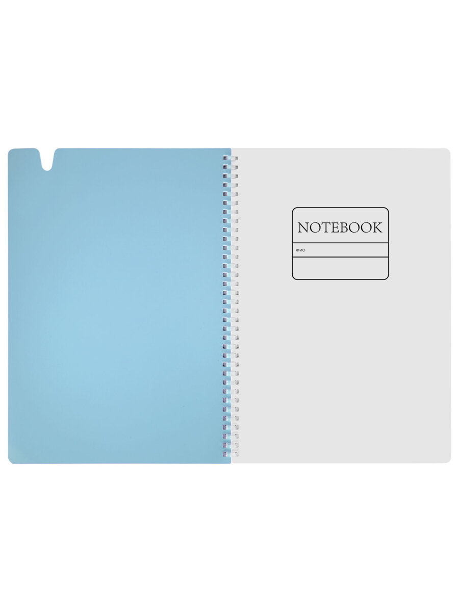 Общая тетрадь Brauberg клетка 80 лист. - фото 5