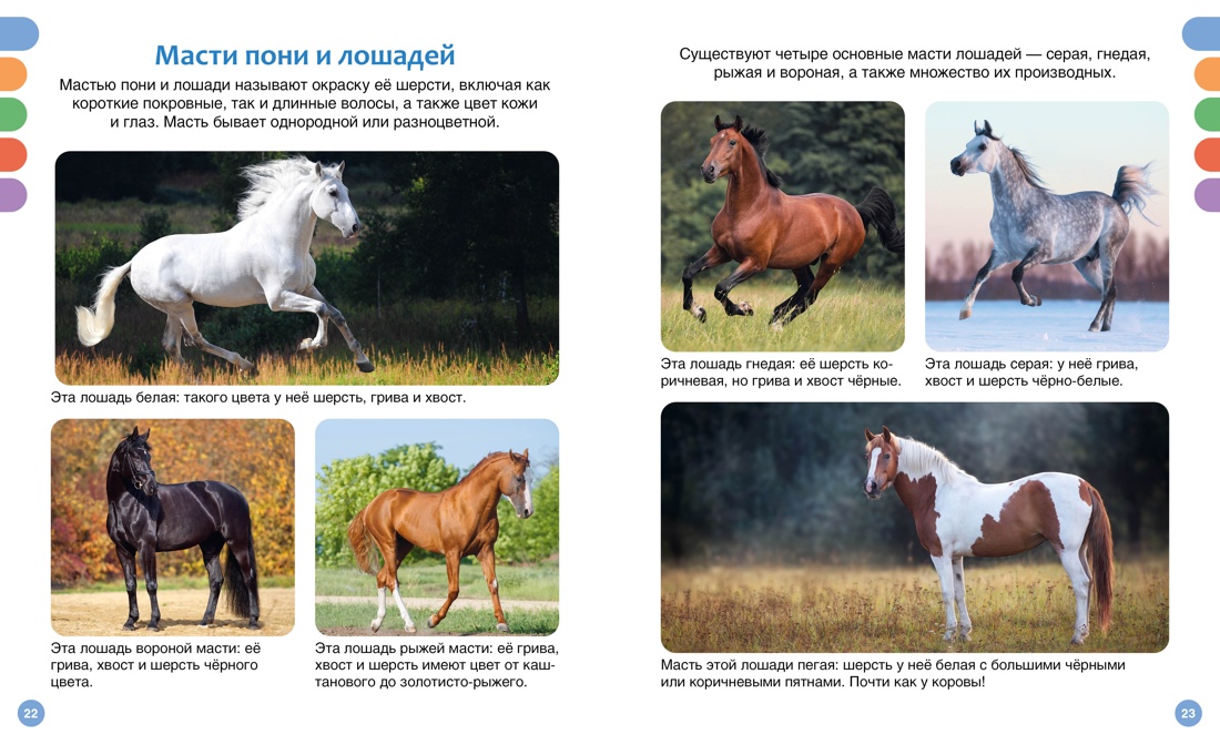 Книга Махаон Гийоре М. Лошади - фото 8