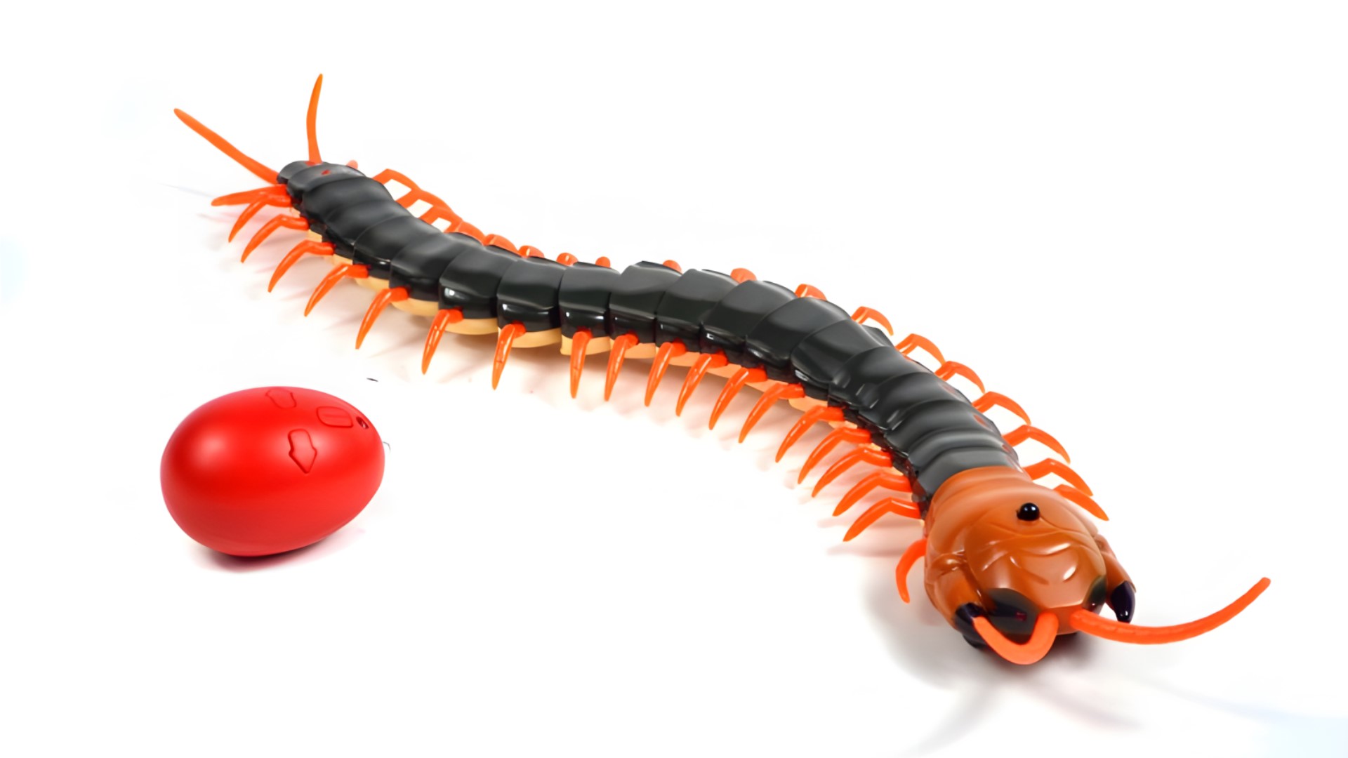 Насекомое РУ ZF best fun toys Гигантская сколопендра - фото 1