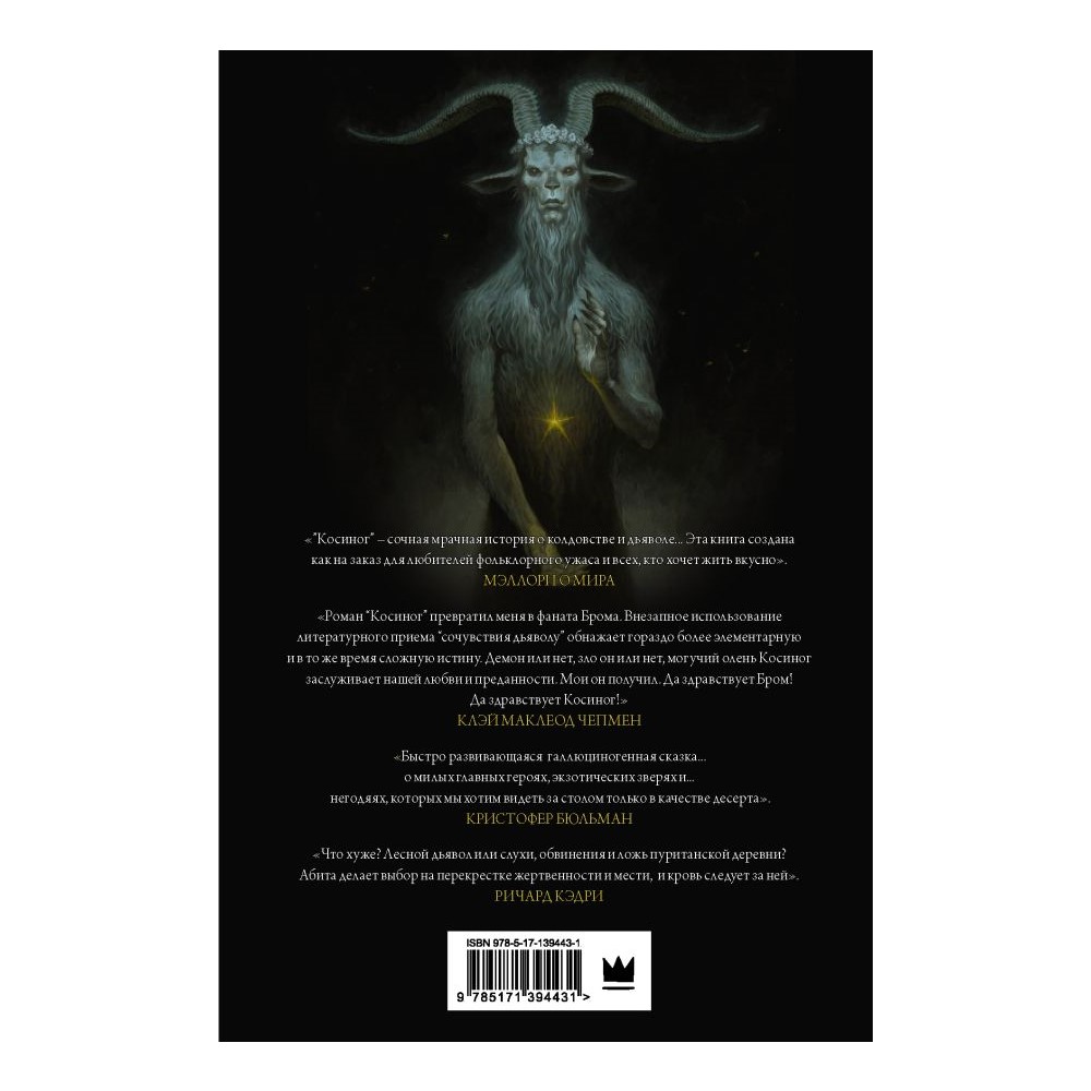 Книга АСТ Косиног: История о колдовстве - фото 2