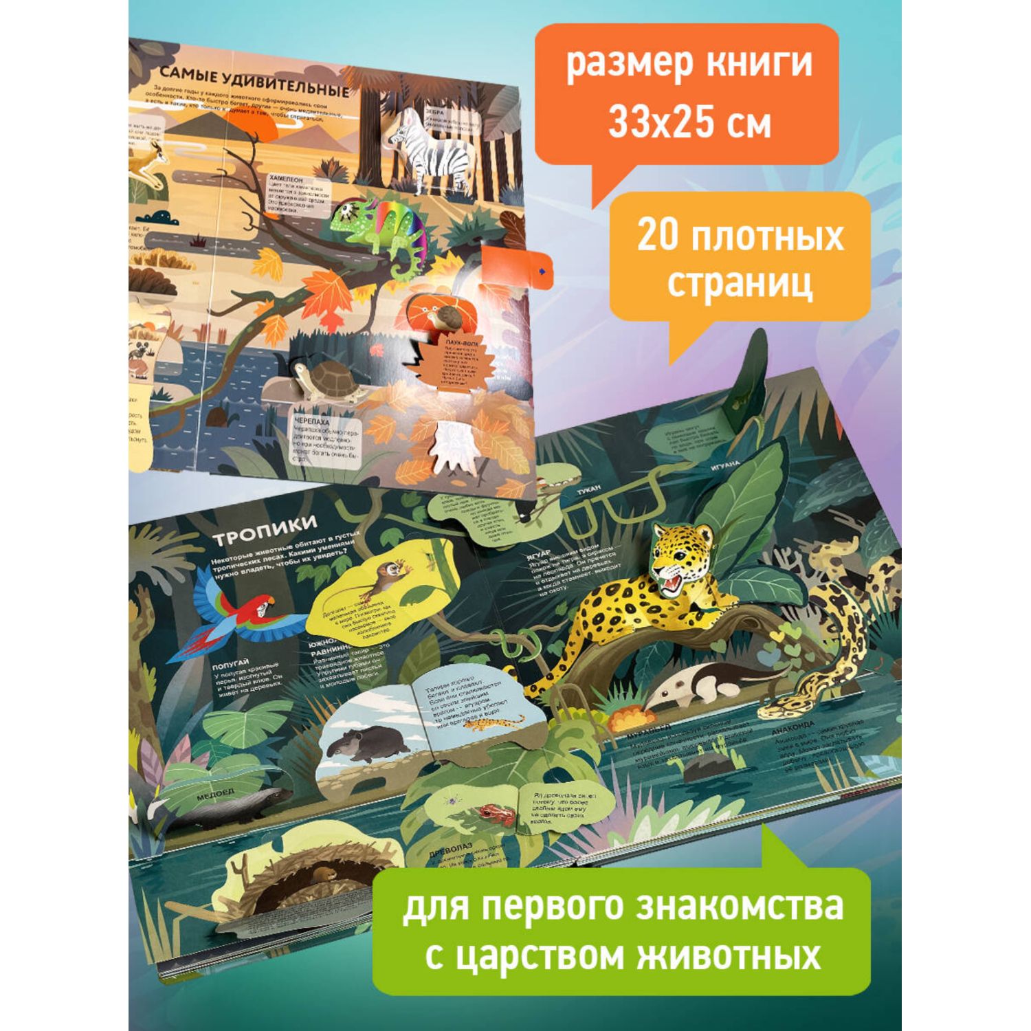 Книга Эксмо Удивительные животные Большая 3D энциклопедия - фото 3