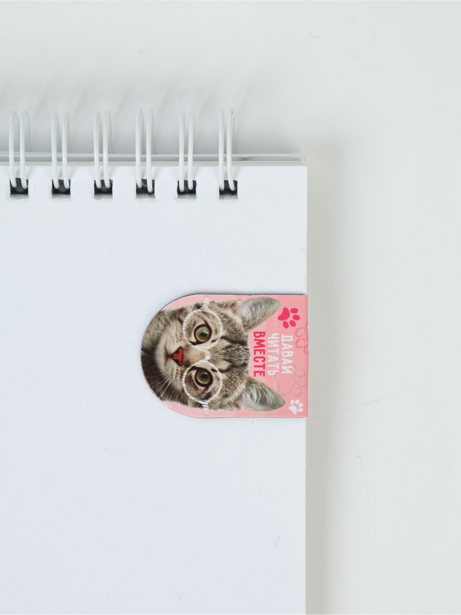 Магнитная закладка ArtFox STUDY - фото 3