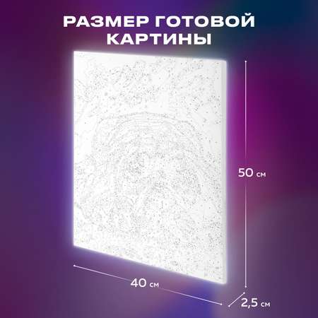 Картина по номерам Остров Сокровищ Мечтай