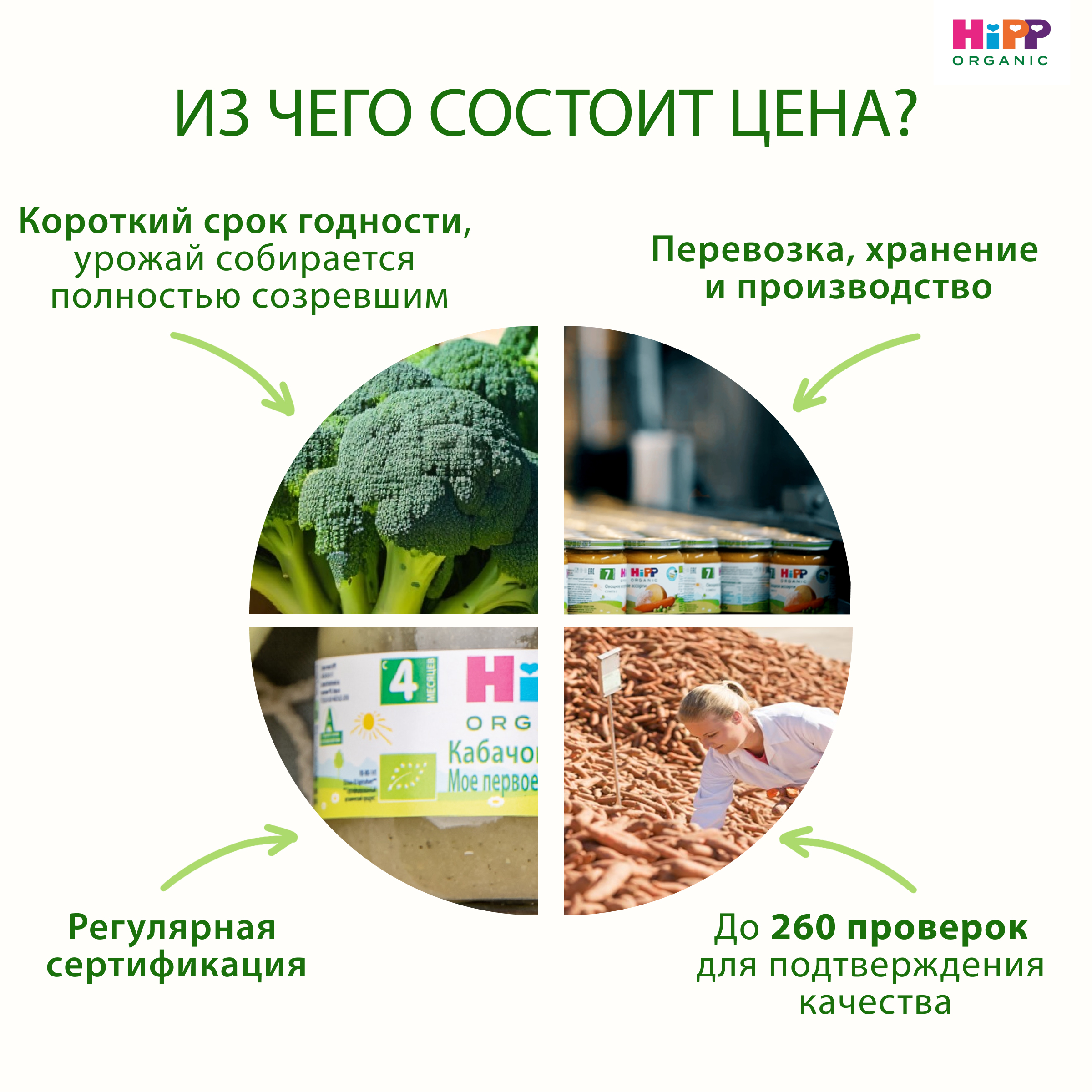 Готовый обед Hipp Крем-суп Тыквенный с 8 мес 190 г - фото 11