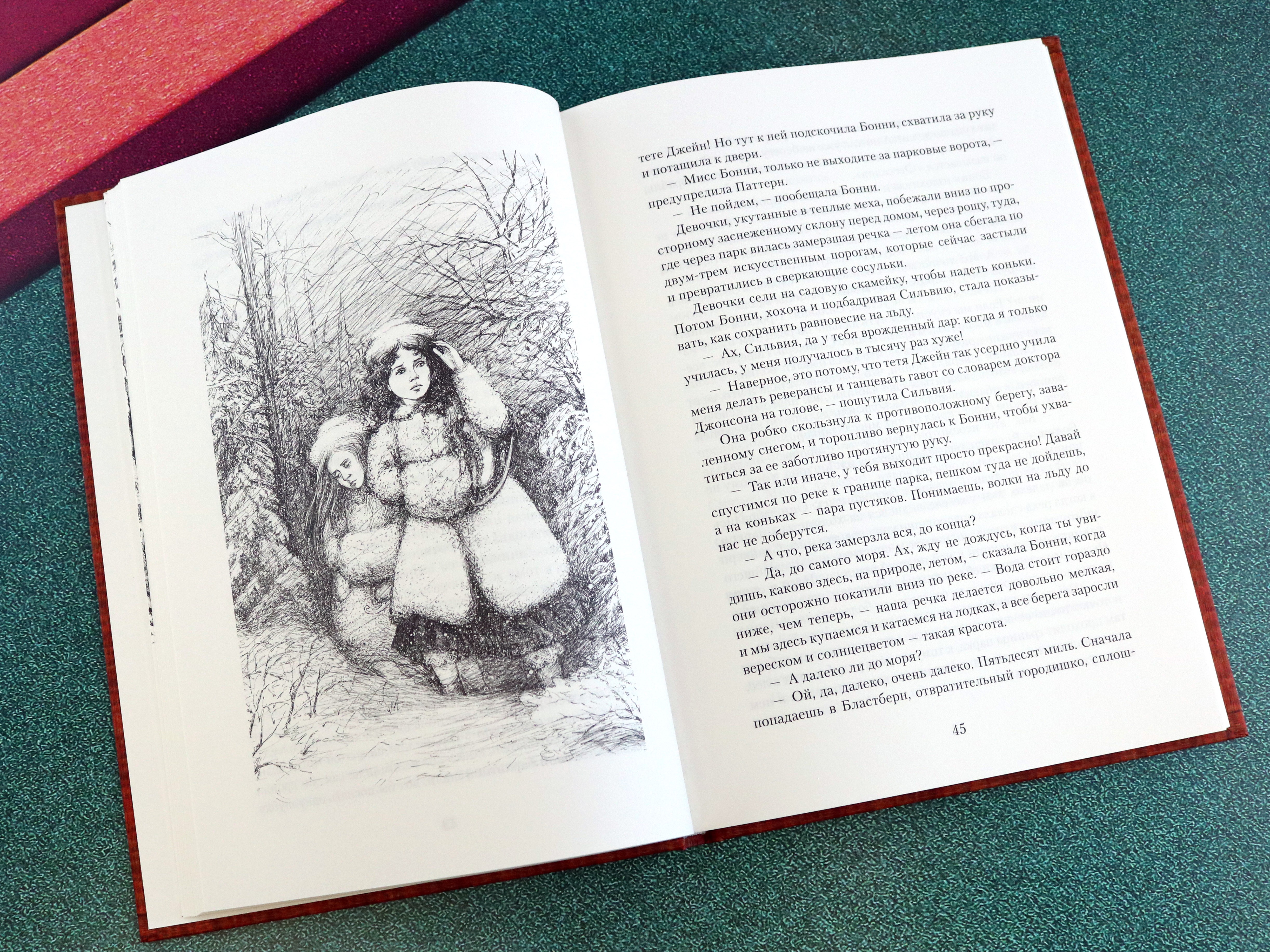 Книга Качели Волки из Уиллоби-Чейз - фото 3