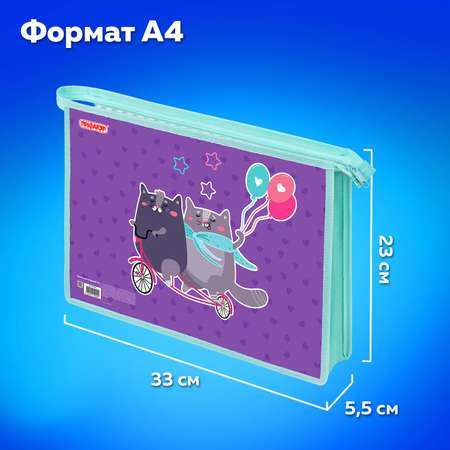 Папка для тетрадей Пифагор А4