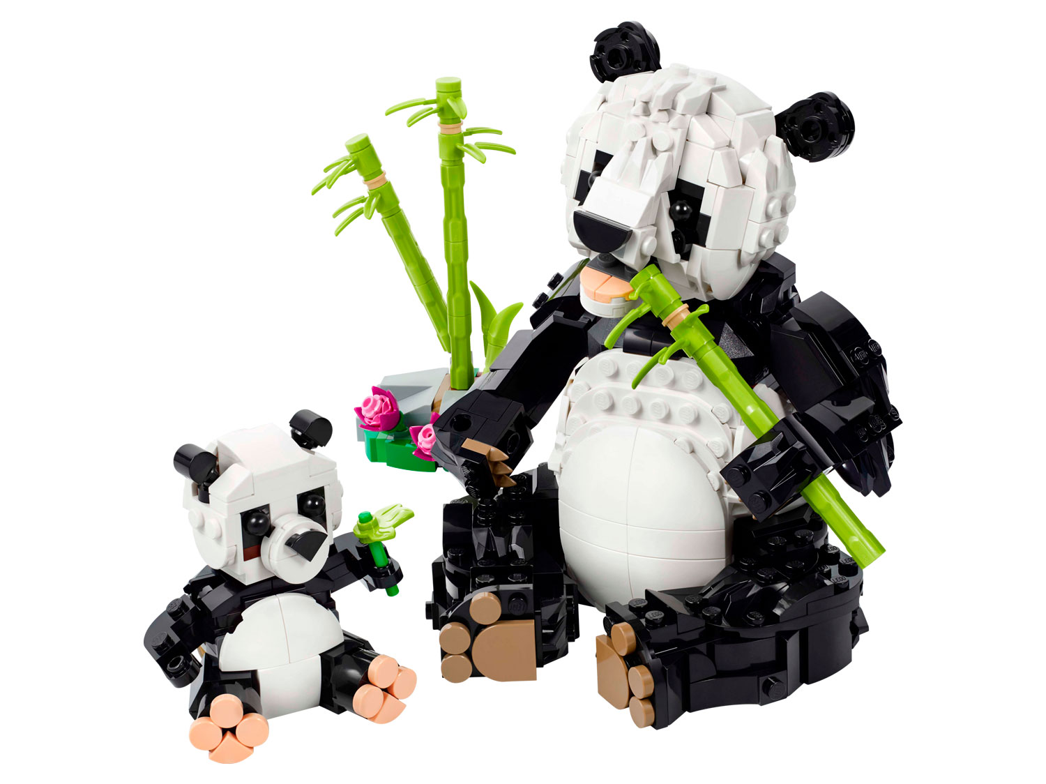 Конструктор LEGO Creator Дикие животные 31165 626 дет. - фото 2