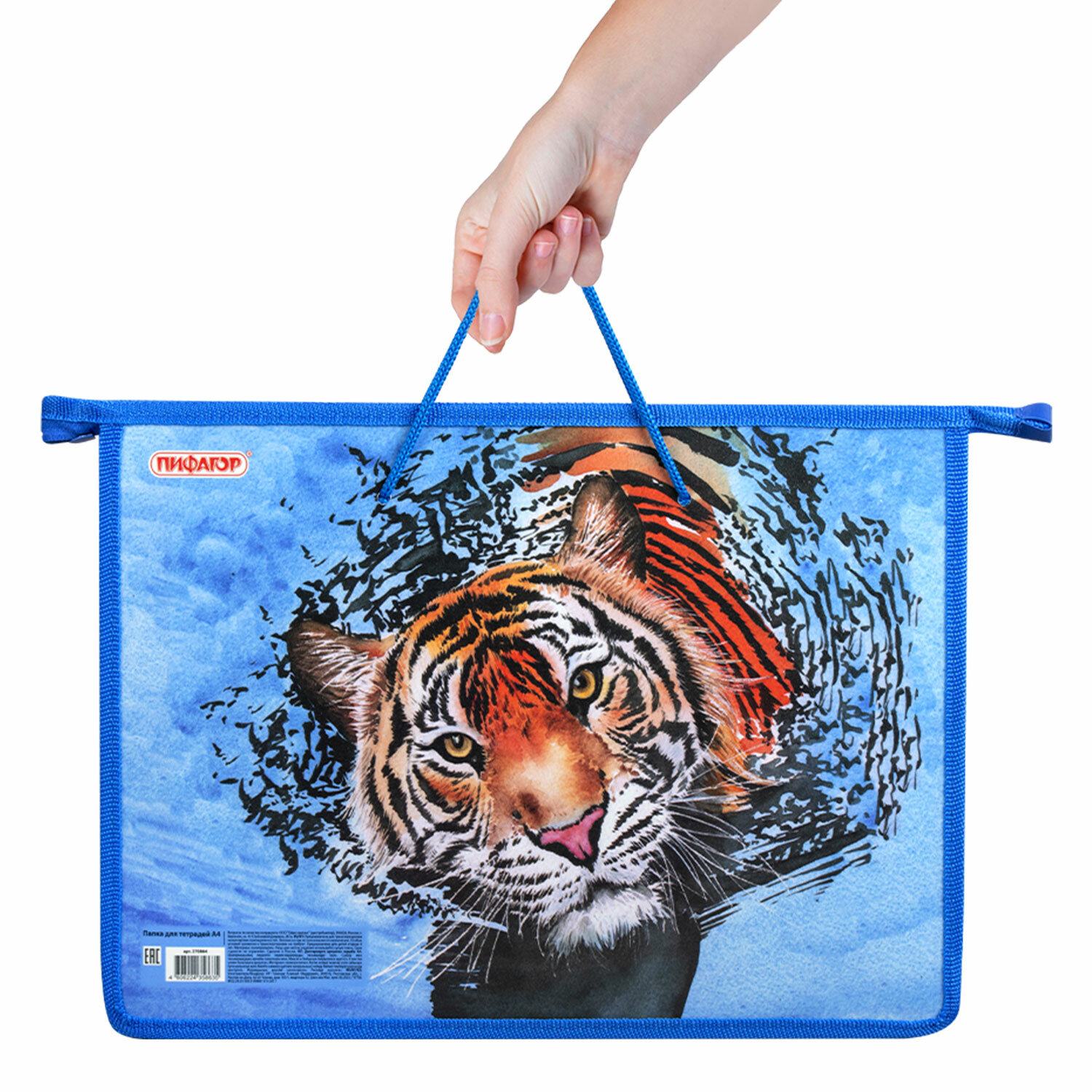 Папка для тетрадей Пифагор - фото 10