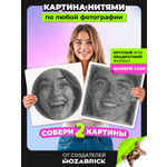 Картина из ниток QBRIX 2 основы