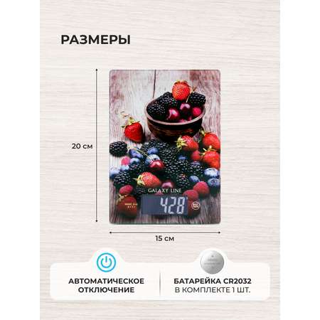 Весы кухонные Galaxy LINE GL2819