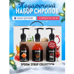 Набор сиропов SPOOM Соленая карамель Амаретто Шоколад для кофе 3 шт по 250 мл + 3 дозатора
