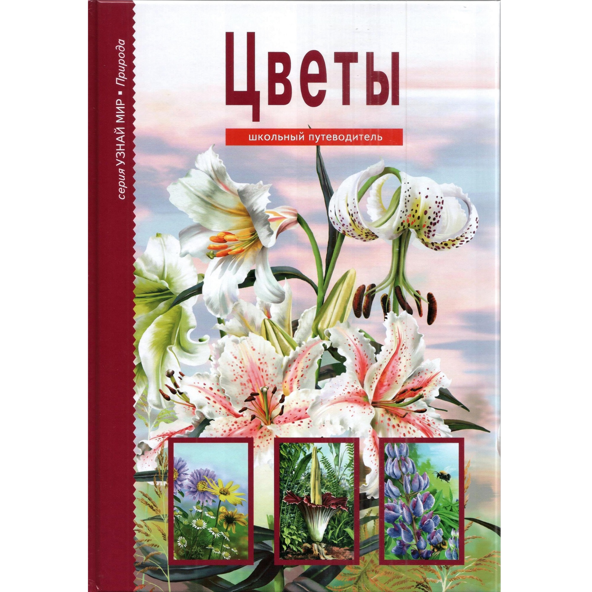 Книга Лада Цветы. Школьный путеводитель - фото 1