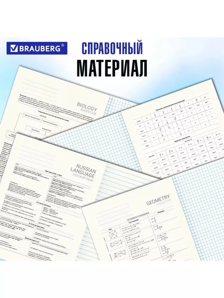 Тетрадь Brauberg 48 лист. 12 шт. - фото 4