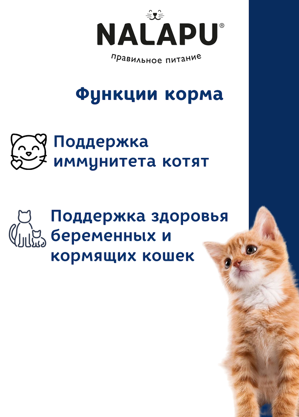 Корм для котят NALAPU Kitten с ягненком в нежном соусе 77г - фото 4