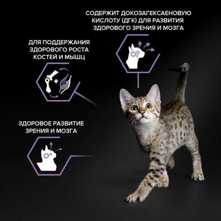 Корм для котят PRO PLAN курица 400г+400г