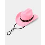 Шляпа для собак и кошек Зоозавр