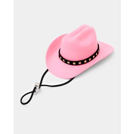 Шляпа для собак и кошек Зоозавр