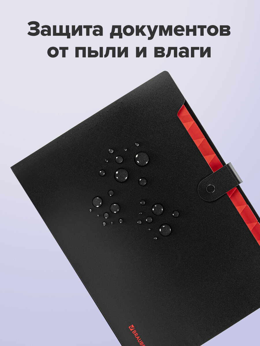 Папка-органайзер Brauberg А4 - фото 5