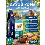 Корм для щенков сухой Pronature Holistic Peruvian на курице со сладким картофелем 2.5кг