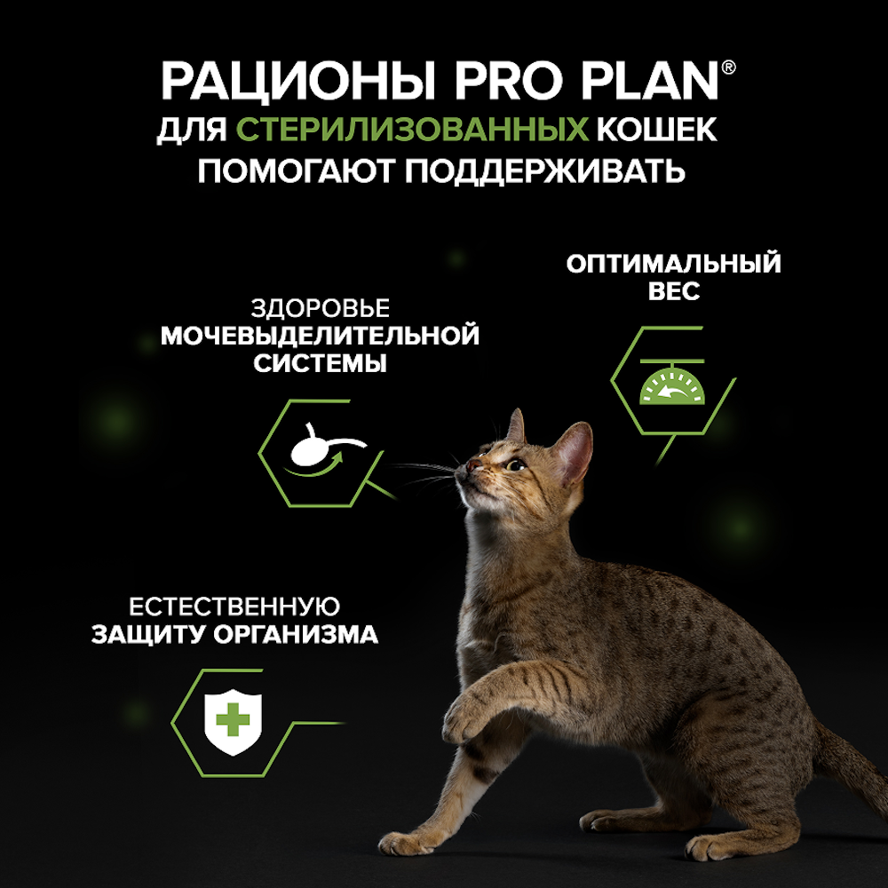 Корм влажный для кошек PRO PLAN MAINTENANCE 75г паштет с индейкой для стерилизованных - фото 6