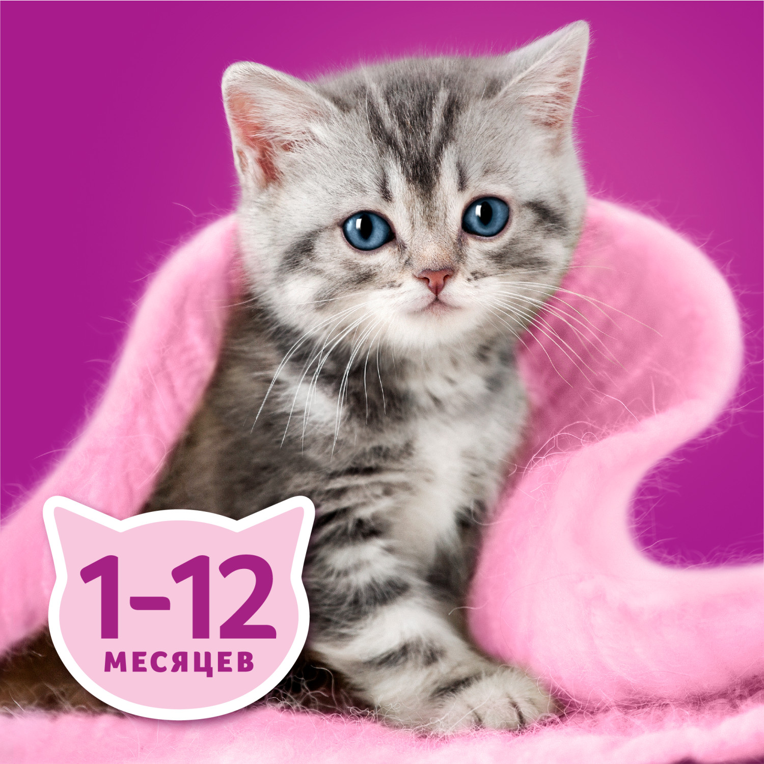 Корм для котят Whiskas от 1 до 12месяцев рагу с ягненком 75г - фото 6