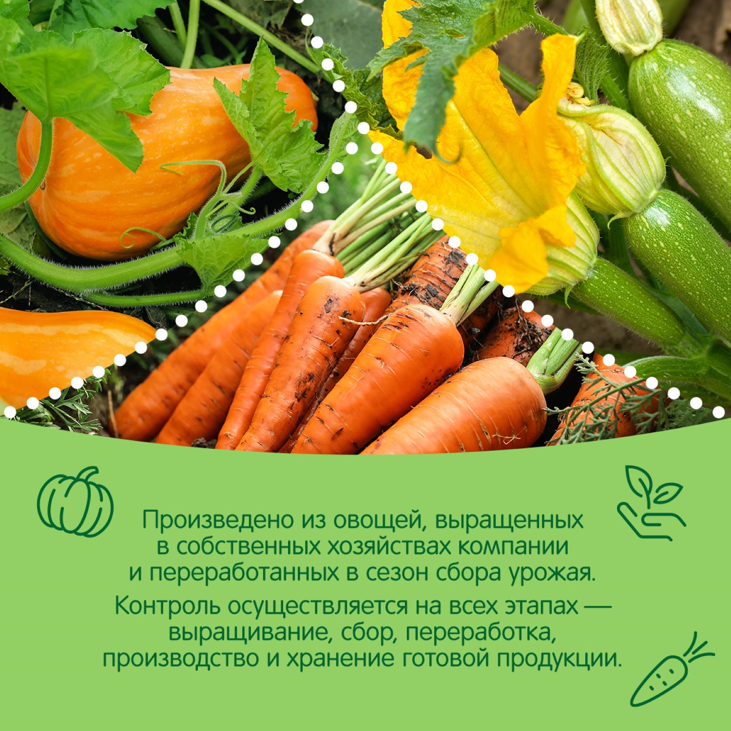 Пюре Сады Придонья из моркови тыквы и кабачков Овощой микс 120г с 6 месяцев - фото 4