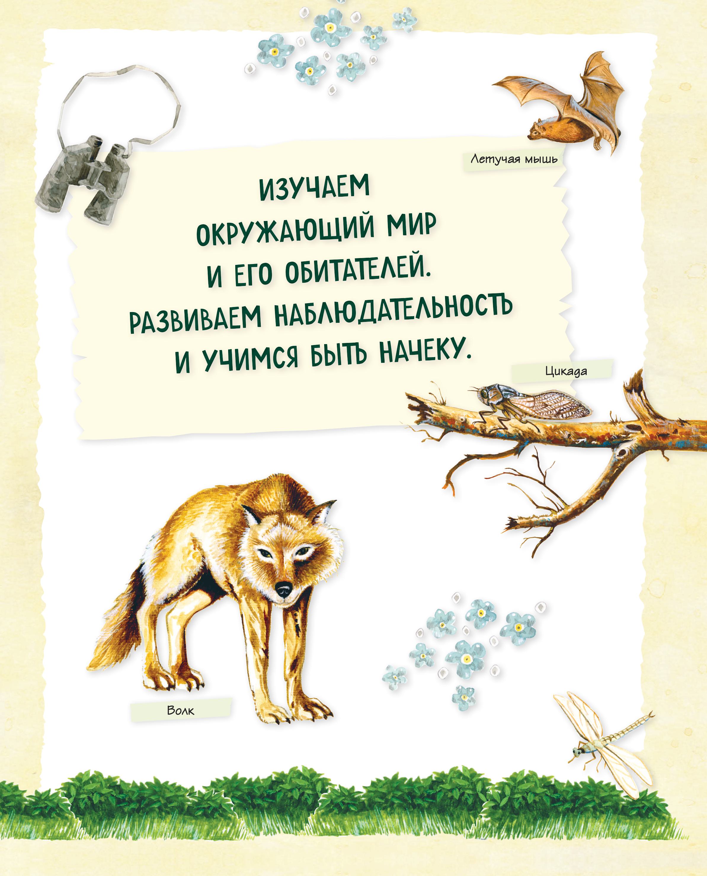Книга Эксмо Большой подарок для мальчика. Энциклопедия для настоящих мальчишек - фото 10