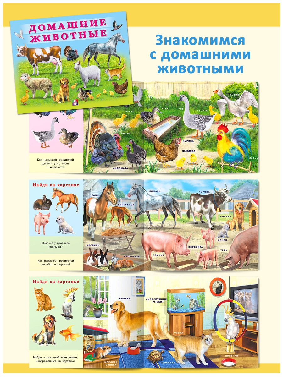 Книги Фламинго Учим малыша: буквы цифры животные растения Первые знания для детей и малышей - фото 6