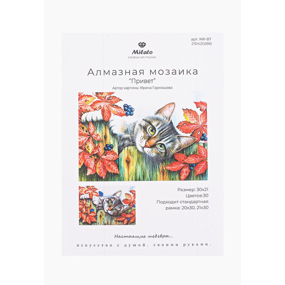 Алмазная мозаика Милато - фото 2