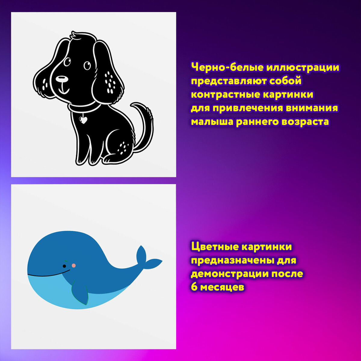 Развивающие карточки Юнландия для новорожденных 6 книжек для развития зрения с пеленок - фото 5