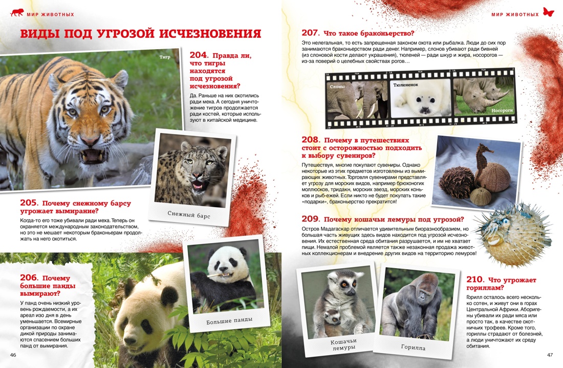 Книга Махаон Школьный комплект всезнайки из 3 х книг - фото 7