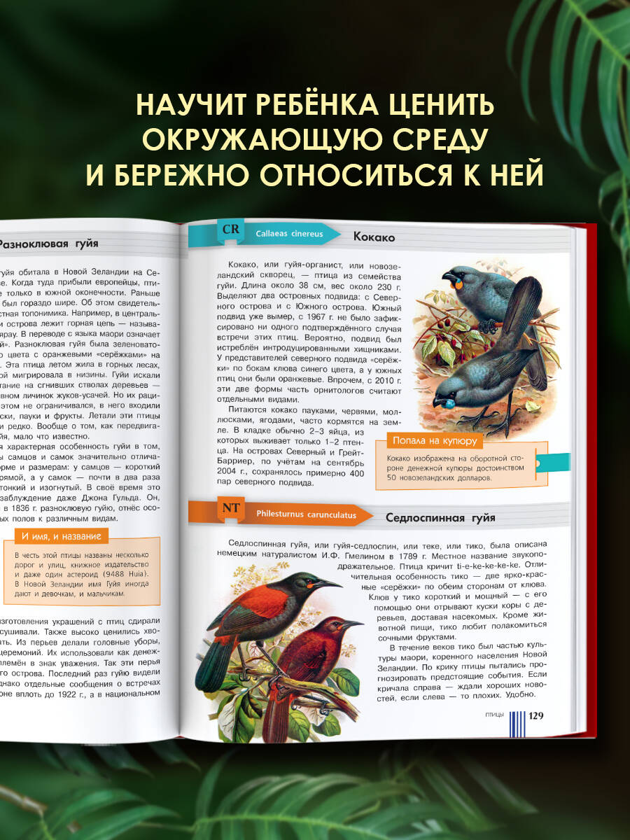 Книга АСТ Красная книга мира - фото 4