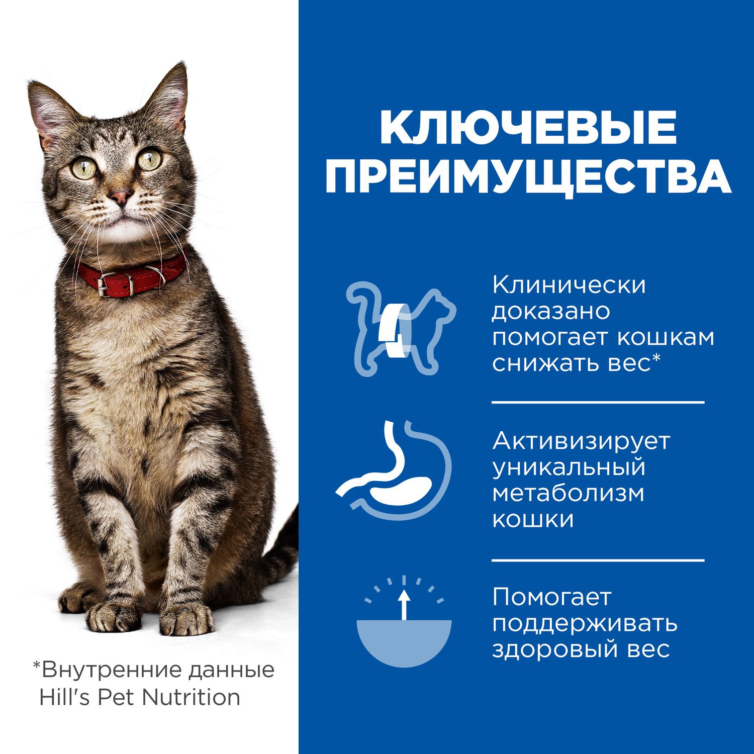 Корм для кошек HILLS 1,5кг Prescription Diet Metabolic Weight Management для оптимального веса с курицей сухой - фото 6