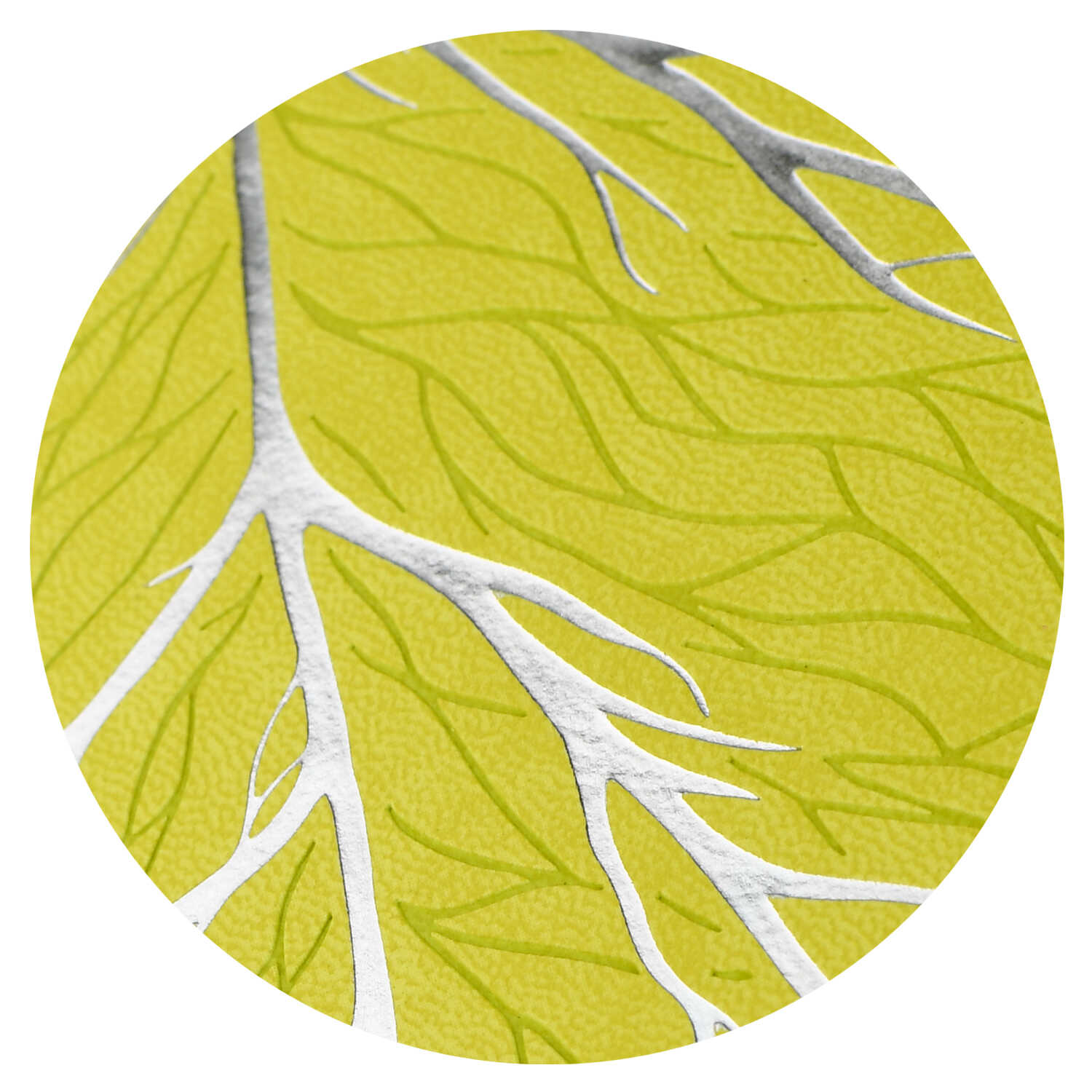 Ежедневник Феникс + ESCALADA 120 лист. - фото 22